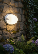 Load image into Gallery viewer, Chip Ovale 25
