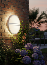 Load image into Gallery viewer, Superdelta Tondo/G
