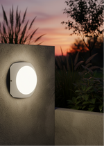 Load image into Gallery viewer, Stucchi
