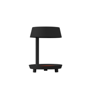 Carry Table Lamp